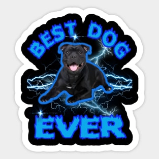 Best Dog Ever Staffordshire Bull Terrier Tee Design this design celebrates the loyal companionship Sticker